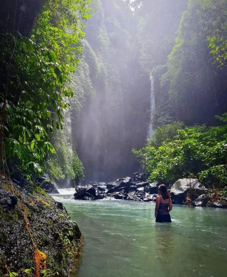 Munduk Kupang Sekumpul Villa Singaraja エクステリア 写真